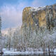 Winter Stature