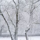 Whiteout