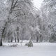 Snow Day