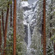 Winter View