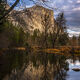 Winter Reflection
