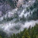 Mountain Fog