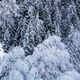 Frost Warning