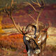 Heavy Antlers