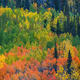 Colorado Colors