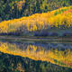 Angled Reflection