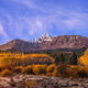 Colorado Beauty