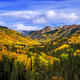 Valley Color