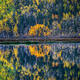 Double Vision