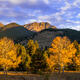 Two Aspens