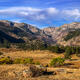Mountain Meadow