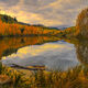 Morning Reflection