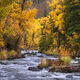 Cottonwood Colors
