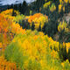 All The Colors