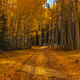 Aspen Road