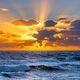 Sunbeams