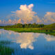 Everglades Colors