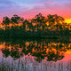 Long Pine Key