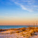 Gulf Dunes