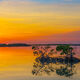 Mangrove Reflection