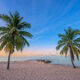 Two Palms