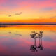 Lake Jackson Sunrise