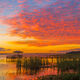 Shepard's Delight