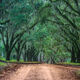 Old Oak Road