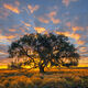 Sunrise Oak