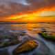 Sunrise Movement