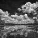 Lake Reflections - Black and White