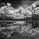 Webb Lake - Black and White