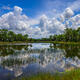 Webb Lake