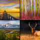 Gallery of Photographs