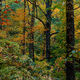 Changing Colors
