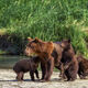 Family Day