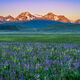 Spring Sunrise