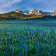 Spring Morning