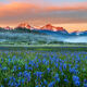 Idaho Sunrise