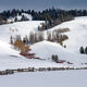 Winter Hills