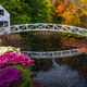 Somesville Garden