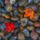 Colorful Cobblestones