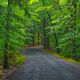The Road Less Traveled