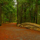 Hadlock Brook Bridge