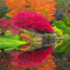 Red Reflection