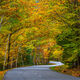 The Loop Road
