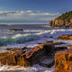Acadia Morning