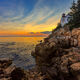 Harbor Light