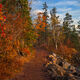 Fall Trail