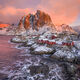 Perfect Sunrise